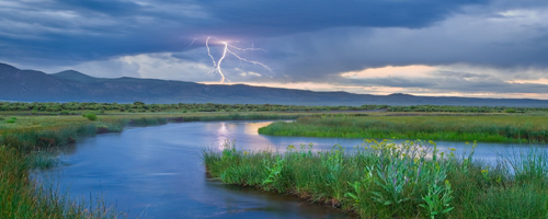 Summer Storm