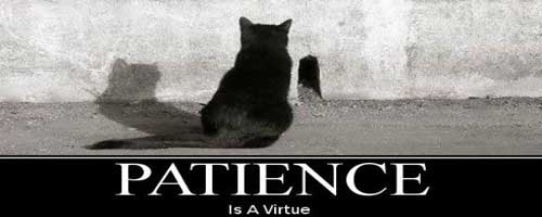 Patience