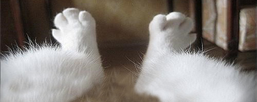 Pedicure