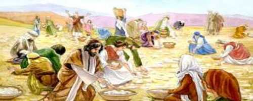 Daily Manna